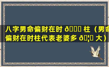 八字男命偏财在时 🐞 柱（男命偏财在时柱代表老婆多 🦍 大）